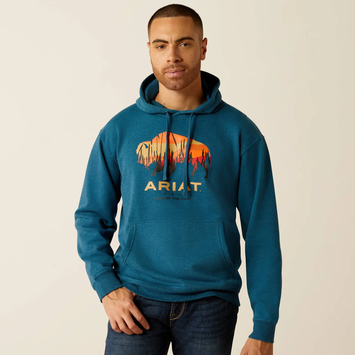 Ariat Men's Bison Plains Hoodie