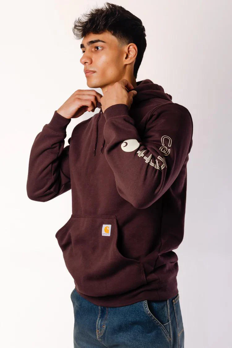 Carhartt Unisex Loose Fit Midweight Logo Sleeve Graphic