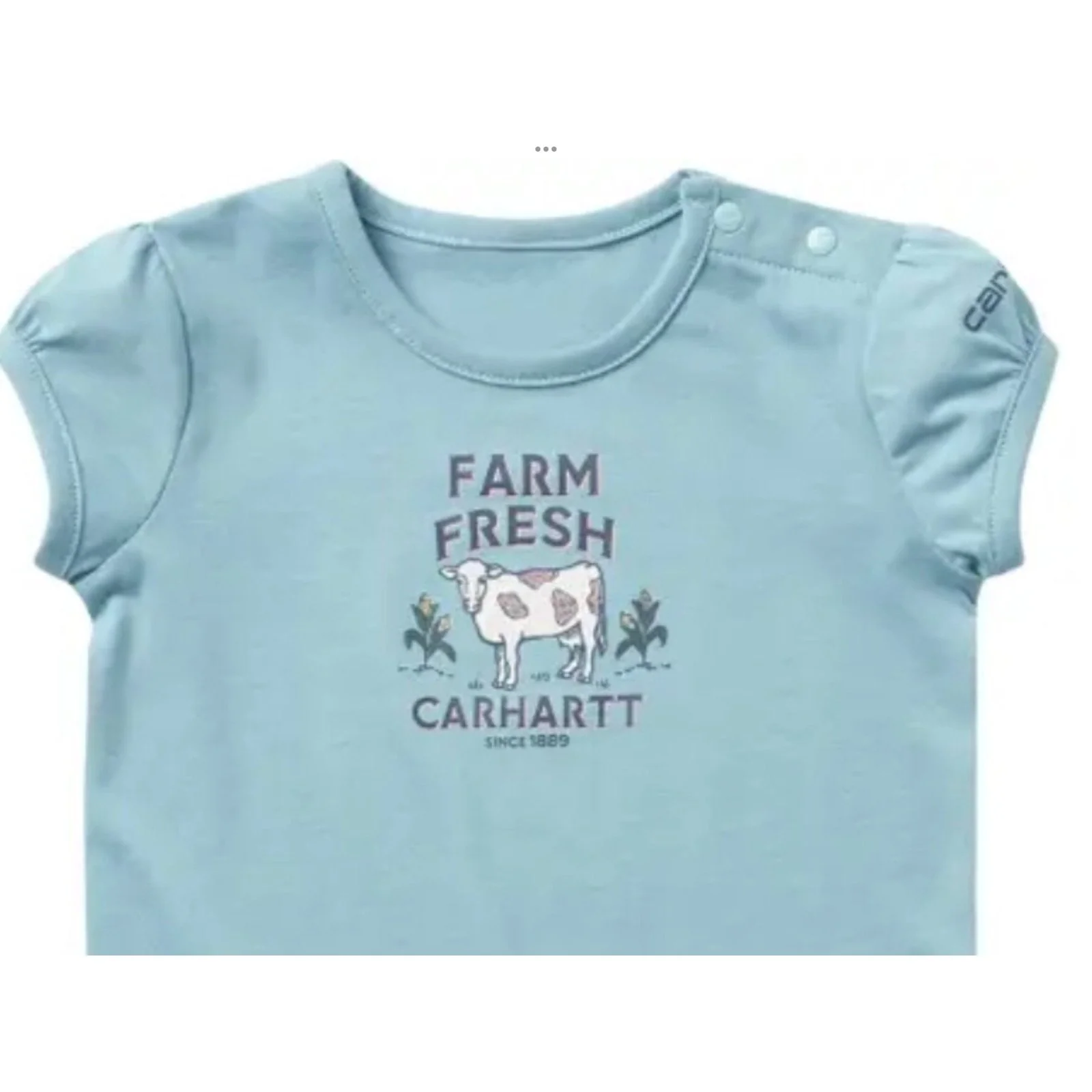 Carhartt Infant & Toddler's Onesie Farm Fresh-CLEARANCE - Image 2