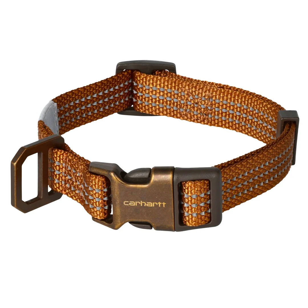 Carhartt Tradesman Collar for Dogs - Image 8