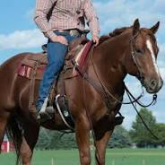 Weaver Austin Flat Sliding Ear Headstall