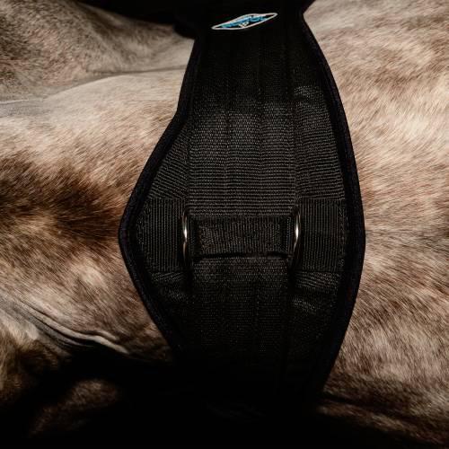 Professional's Choice 2X Cool Cinch - Image 3