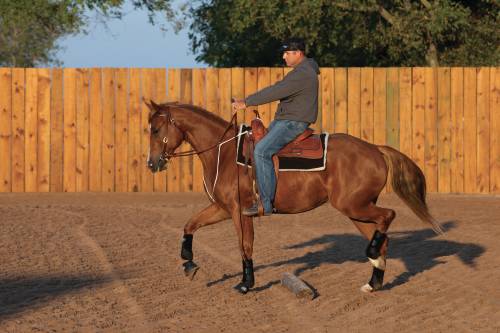 Professional's Choice Adjustable Rope Training Fork - Image 2