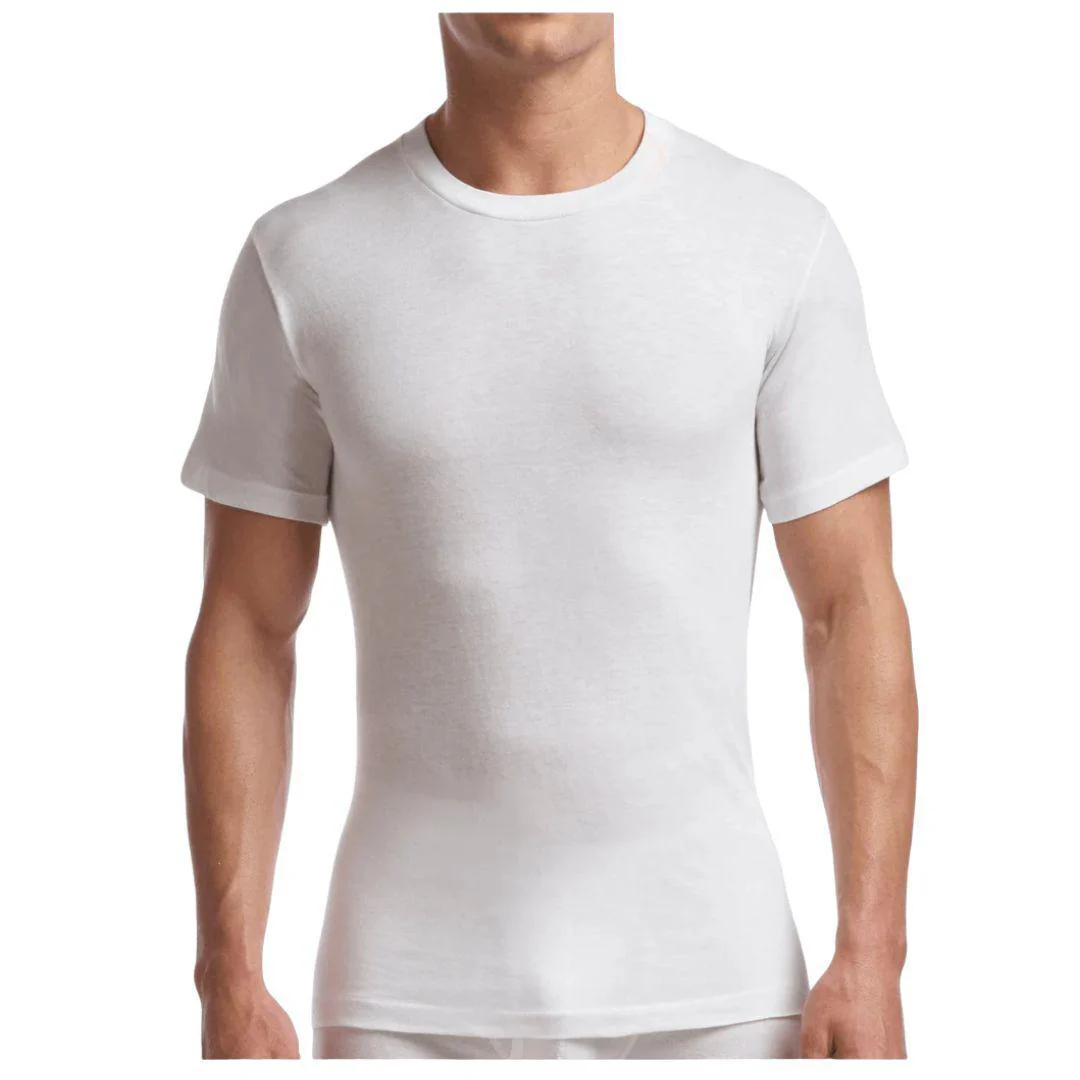Stanfield's Men's Premium Crewneck T-shirt- Two Pack