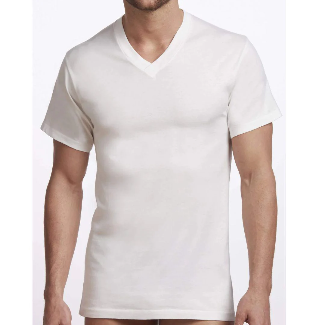 Stanfield's Men's Premium V-neck T-shirts - Image 13