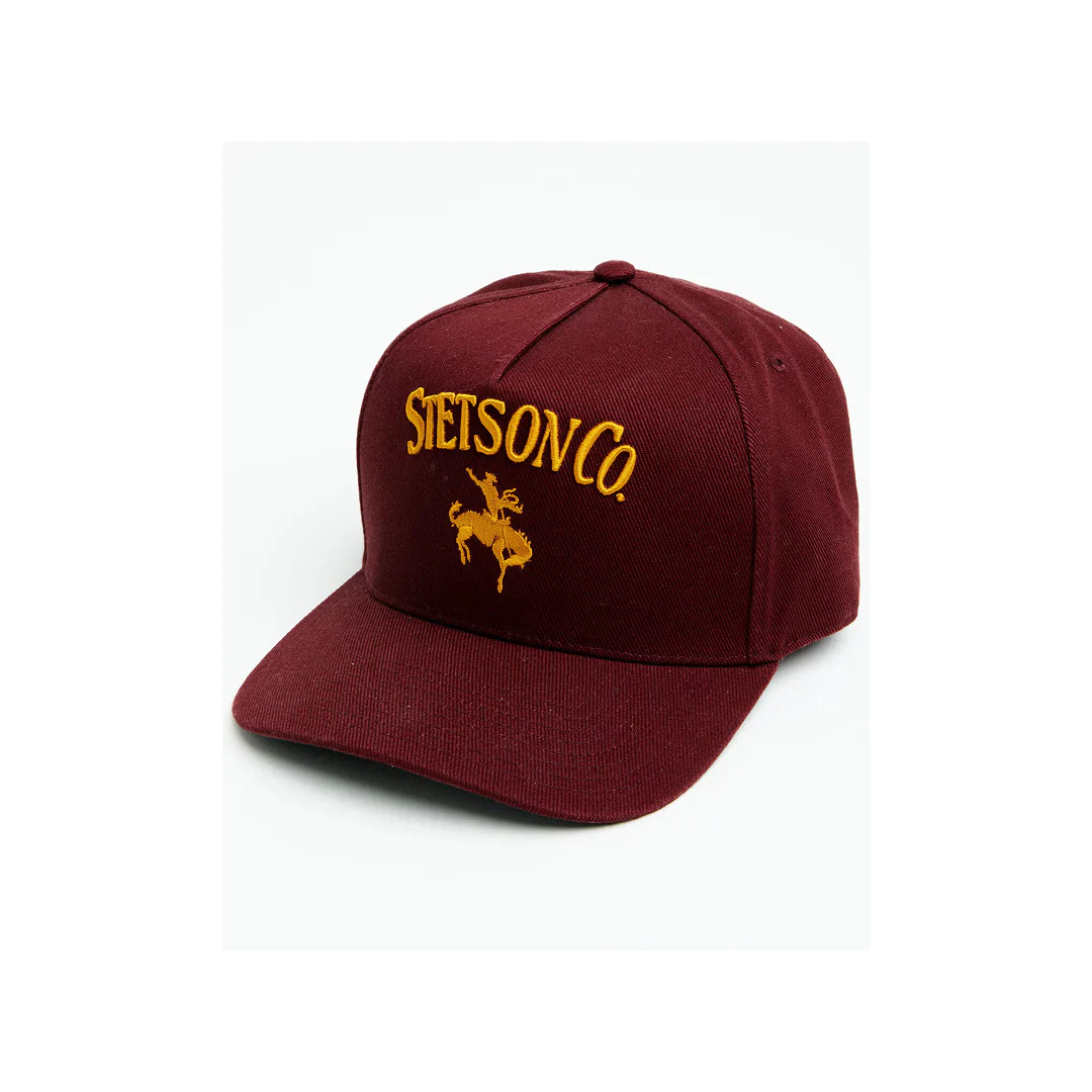 Stetson Men's Embroidered 160th Anniversary Trucker Cap